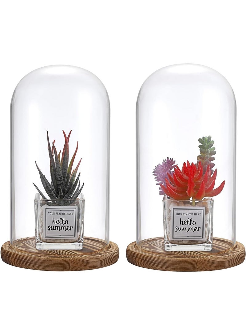 Glass Vases with Upside Down Dome with Wooden Base, Natural Home Decor, Set of 2 - Image 2